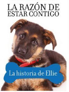 La Razón De Estar Contigo