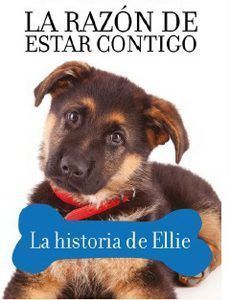 La Razón De Estar Contigo