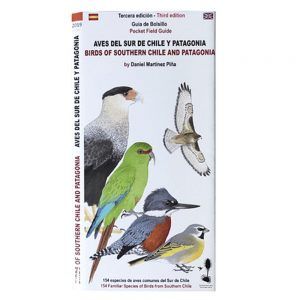 Aves Del Sur De Chile Y Patagonia (Español/Inglés)
