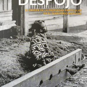 La Historia Del Despojo. El Origen De La Propiedad Particular En El Territorio Mapuche