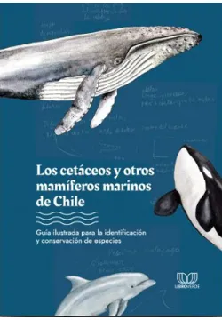 los cetaceos y mamiferos marinos los cetaceos y mamiferos marinos