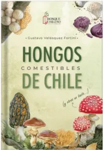 Hongos comestibles de Chile