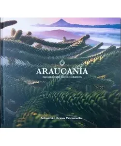Araucania Naturaleza de contrastes