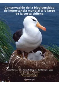 Conservación de la biodiversidad de importancia mundial a lo largo de la costa chilena - Explorando la riqueza de la costa chilena