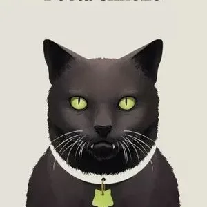 Poeta chileno portada del libro de Alejandro Zambra con ilustración de gato negro