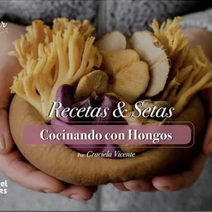 Recetas y setas cocinando con hongos portada del libro de cocina con setas frescas en manos