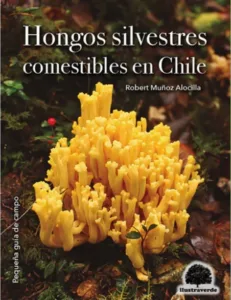 Hongos silvestres comestibles en Chile portada del libro con hongo amarillo coralino sobre suelo de bosque nativo