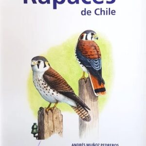 Aves rapaces de Chile portada ilustración halcones posados en troncos CEA Ediciones