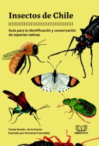 Portada del libro Insectos de Chile de Tomás Román de la Fuente y Fernanda Fuenzalida, guía ilustrada sobre insectos y biodiversidad chilena