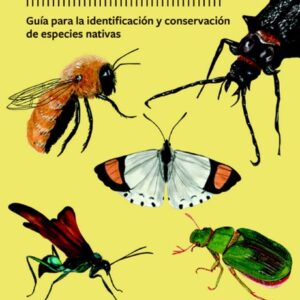 Portada del libro Insectos de Chile de Tomás Román de la Fuente y Fernanda Fuenzalida, guía ilustrada sobre insectos y biodiversidad chilena