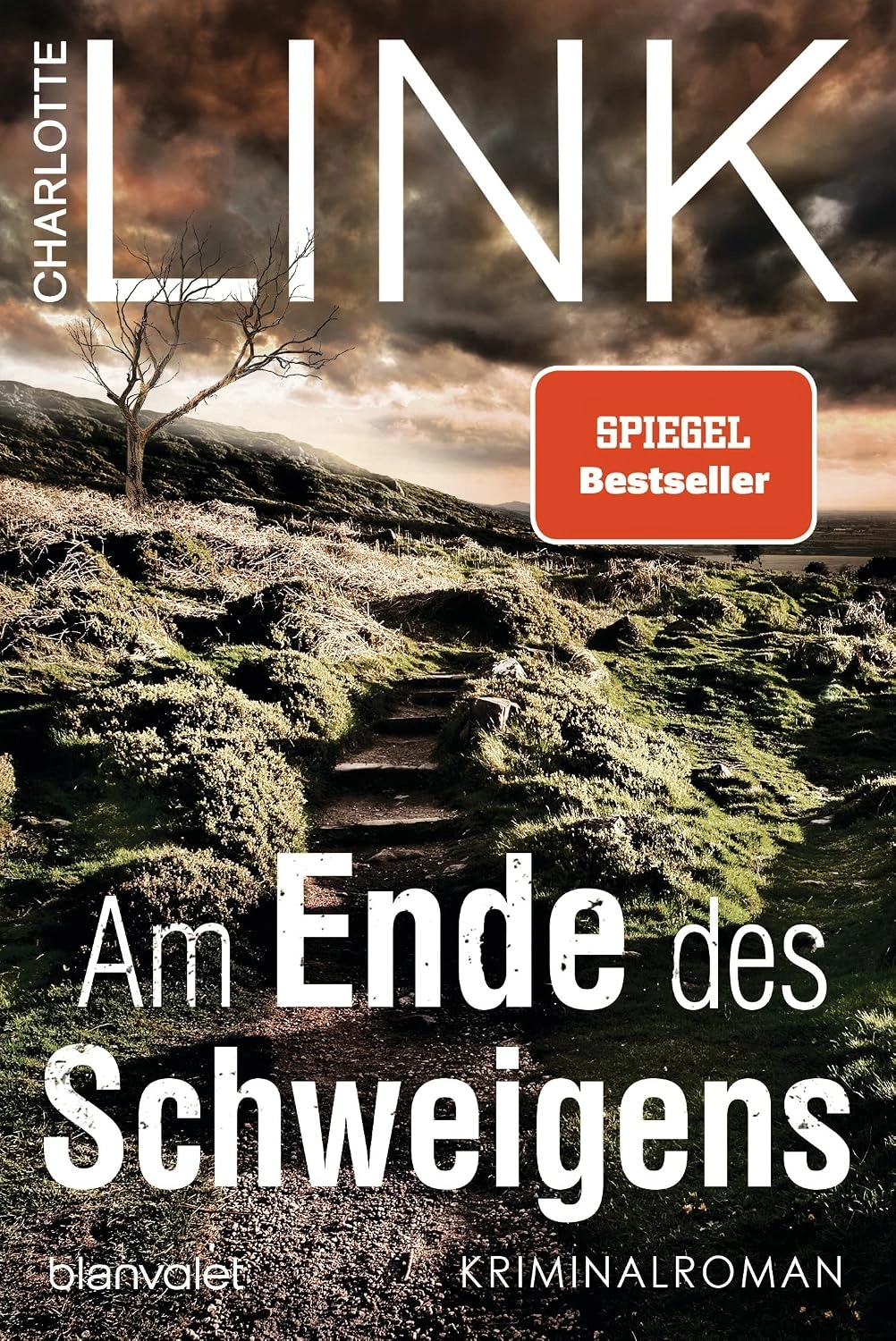 Am Ende des Schweigens – Charlotte Link – ISBN 9783734111174 – Portada del libro Portada del libro Am Ende des Schweigens de Charlotte Link, edición Blanvalet, ISBN 9783734111174.